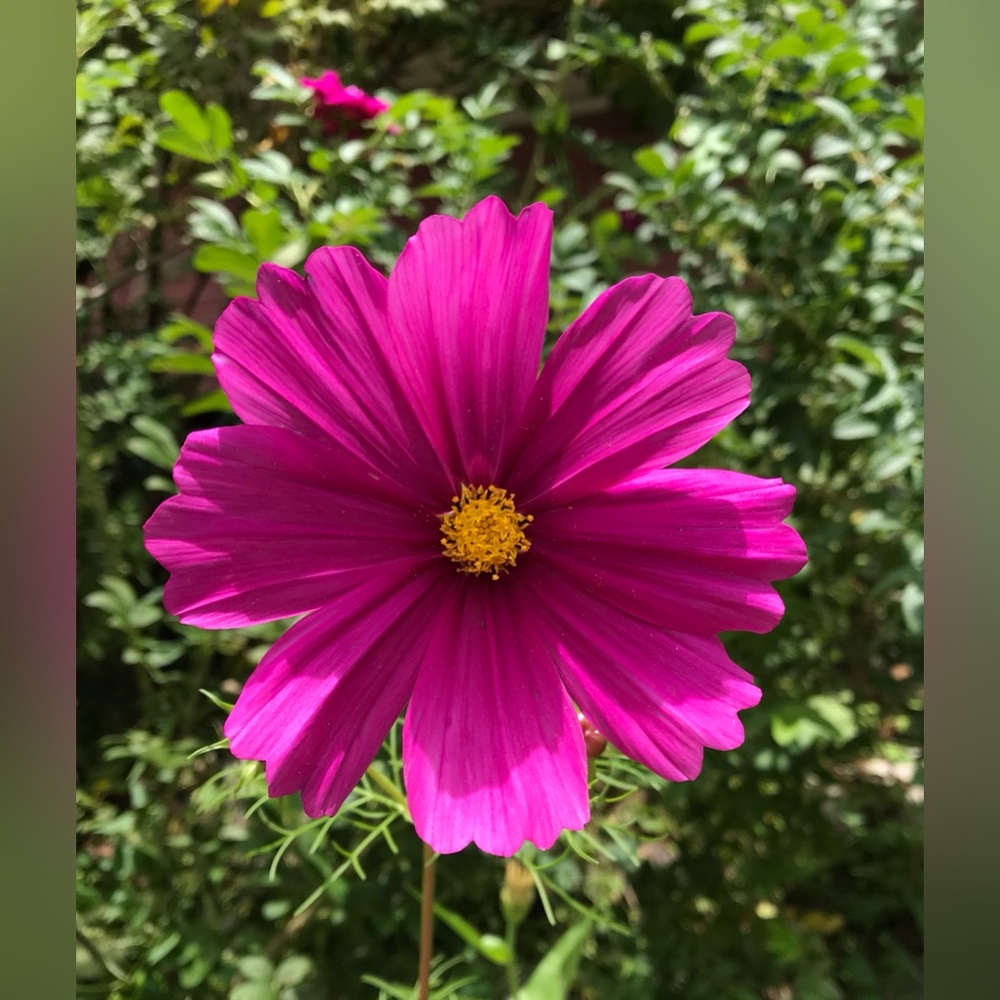 @browneyedgrl25 is LIVE! 💖 - Picture 7 of 17